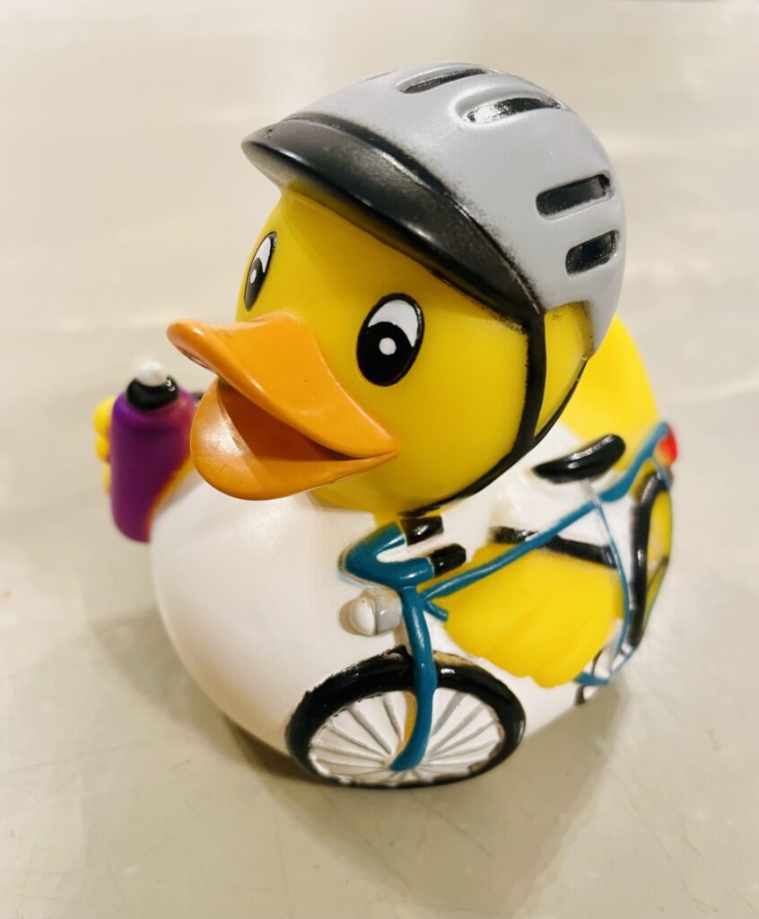 duckdrift-fietseend